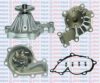 AQUAPLUS 85-6835 Water Pump